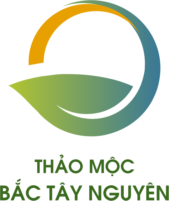 Công ty TNHH MTV Thảo mộc Bắc Tây Nguyên